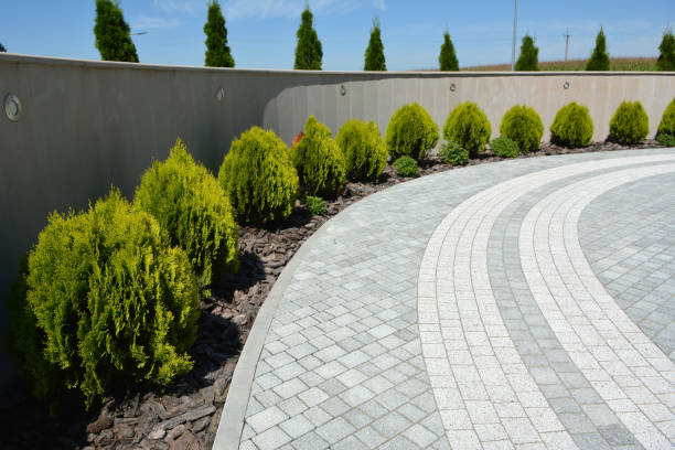 Best Local Driveway Pavers  in Collings Lakes, NJ